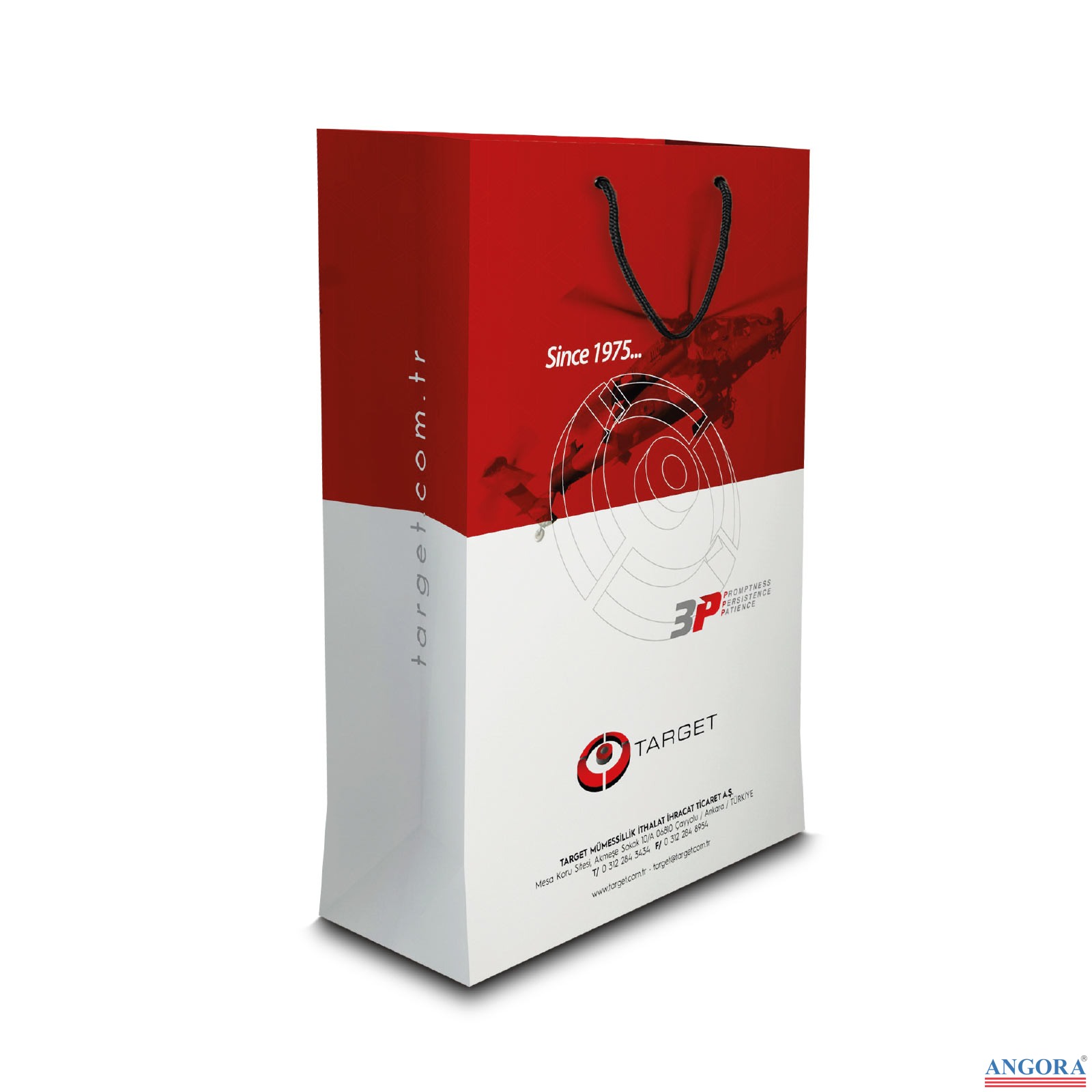 ALA-54 BÜYÜK BOY DİKEY KARTON ÇANTA(36x23x10.5 cm)